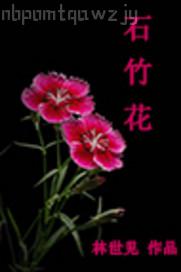 神馬手機(jī)在線觀看午夜